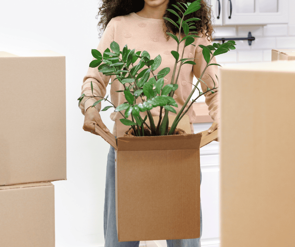Eco-Friendly Moves in Kidderminster